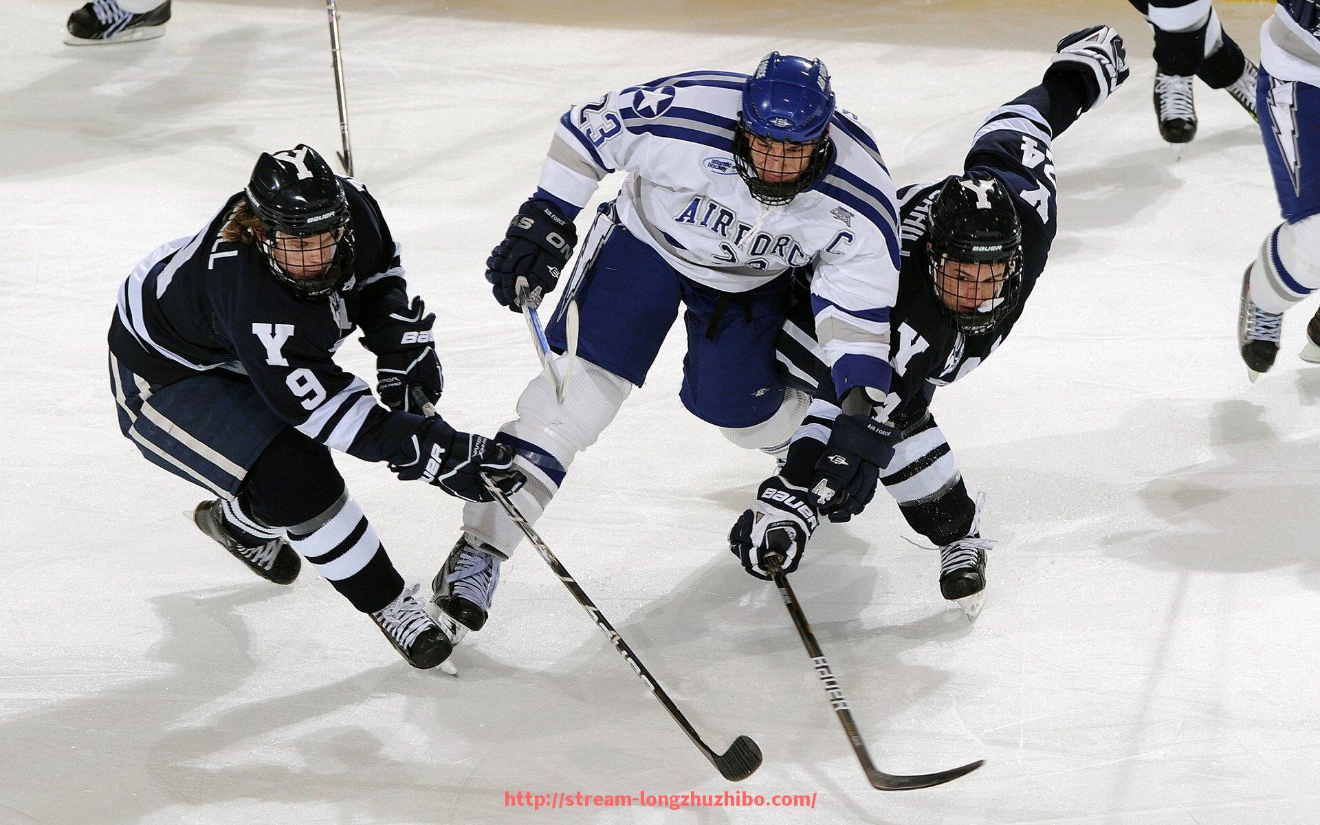 龙珠直播-柏林联合成为德甲榜首球队背后的故事解析